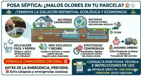 Limpieza de Fosas